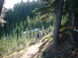 heading along the Timberline Trail