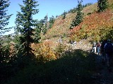 The trail along Autumn colors
